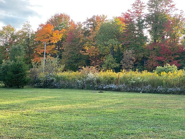 продам 15 сот.земли, под строитес. Музычи, Бучанского р-на, Киевской обл Київ - зображення 2