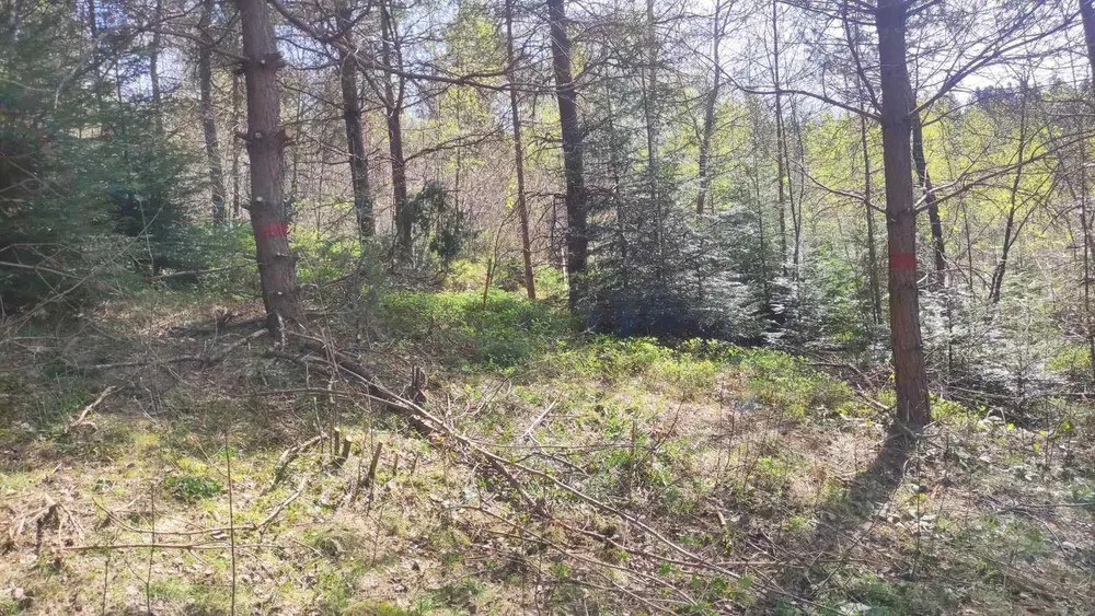 Продам земельну ділянку в м. Східниця під забудову — 9 сотих Борислав - изображение 4