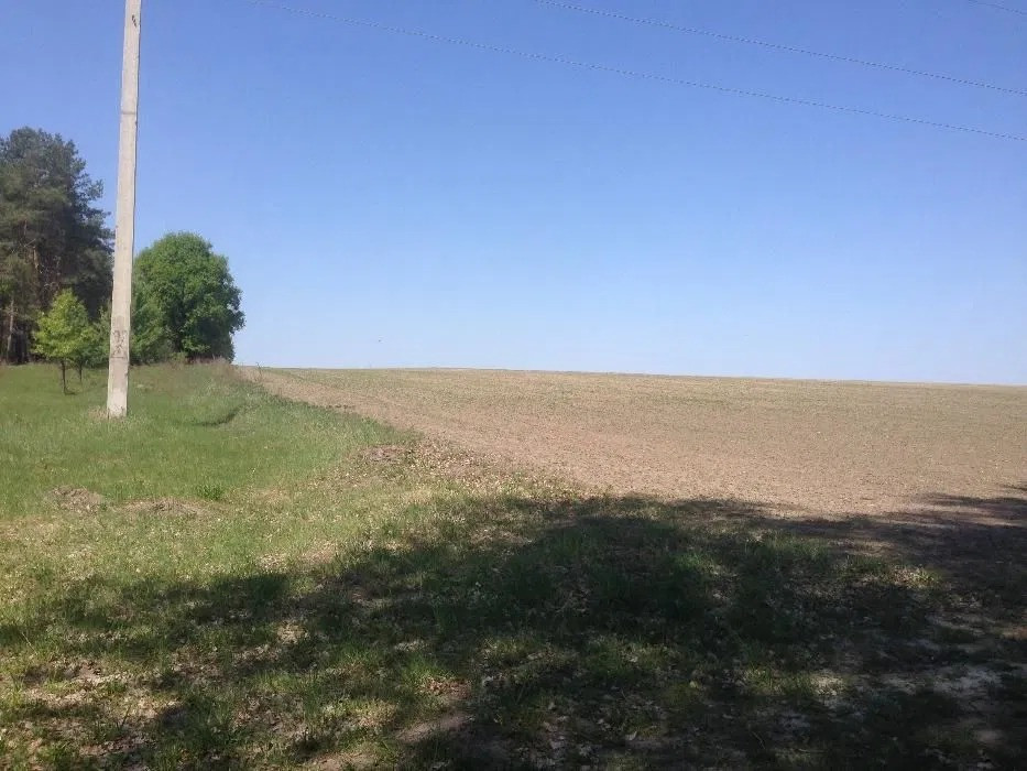 Продаж земельної ділянки 2, 4601 га, с. Ситняки, Макарівський р-н Макаров - изображение 4