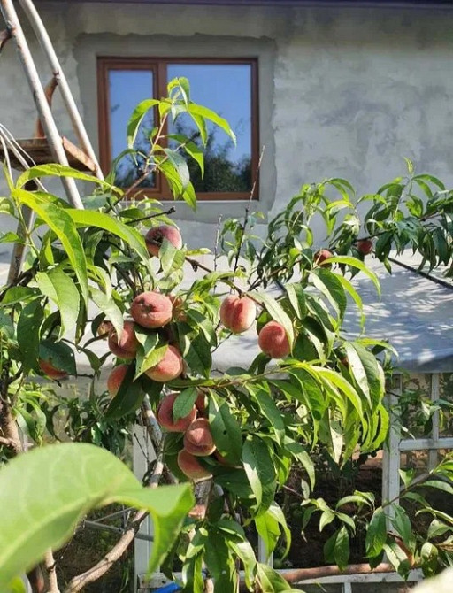 Продається будинок у місті Почаїв, поруч із Лаврою Почаїв - зображення 8