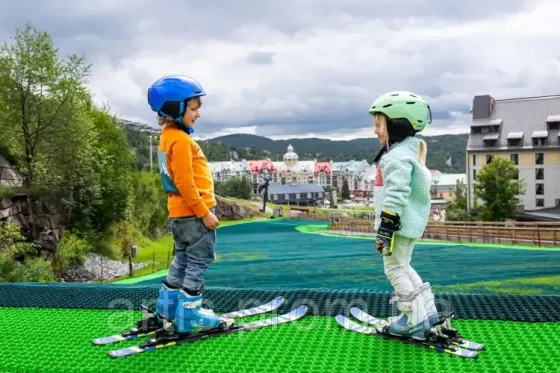 Покриття Neveplast для тюбінгу, картингу і лижних спусків Львів