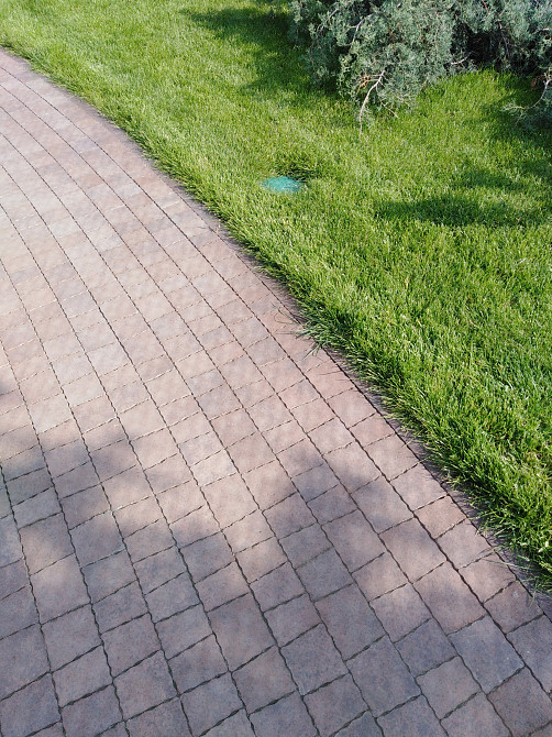 Укладання тротуарної плитки Харків Харьков - изображение 3