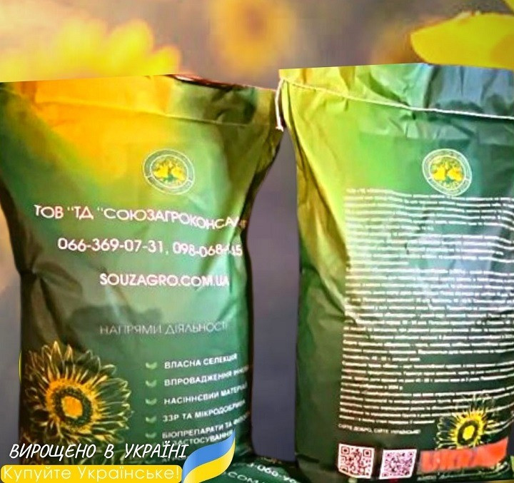 Соняшник Синельниківський УльтраРанній (Сур), 75-80 днів, фр. Преміум Синельникове - зображення 1