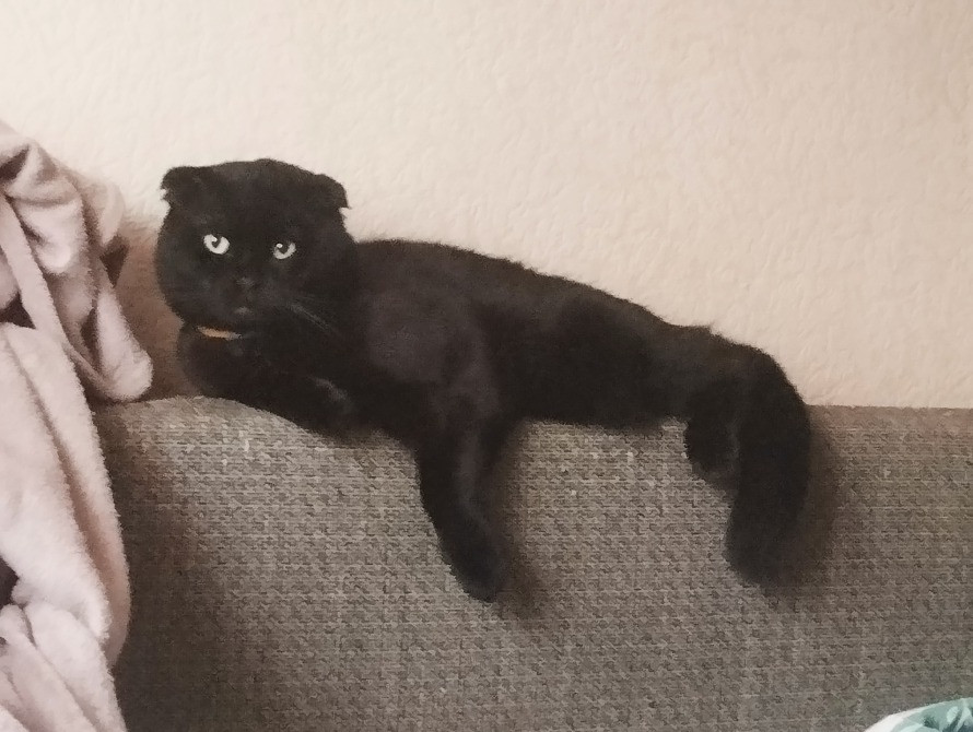 Потомственная Ясновидящая Варвара Київ - зображення 1