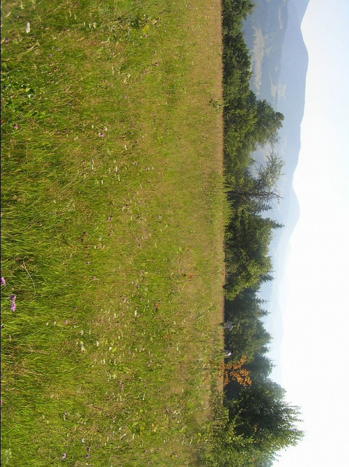 Земля в Карпатапх Ивано-Франковск - изображение 2