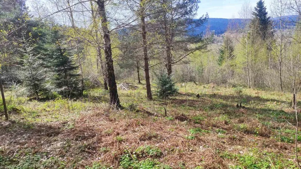 Продам земельну ділянку в м. Східниця під забудову — 9 сотих Борислав - изображение 5