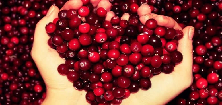 Журавлина лісова клюква Сарни - зображення 1