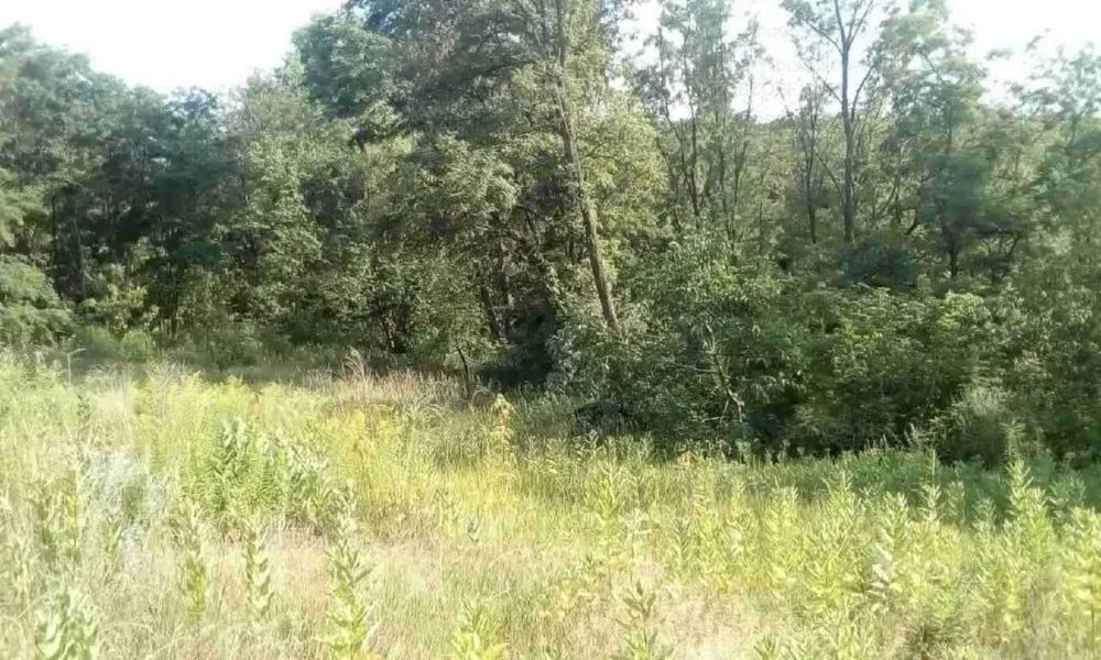 Продаю ділянку в затишному місці з приємним краєвидом та лісом поруч Обухов - изображение 2