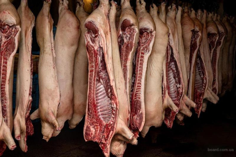 Свинина в полутушах, субпродукты и головы - опт и розница Київ - зображення 2