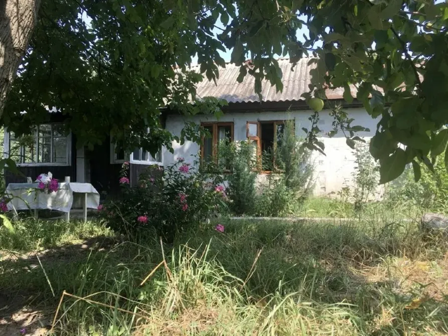 Продам будинок з великою ділянкою в с. Пилиповичі Бородянка - зображення 7