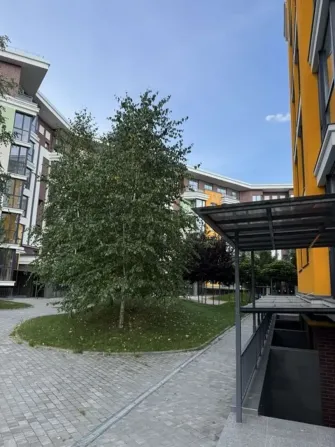 2 кімнатна квартира, жк Лісова Казка Биківня Київ - зображення 1