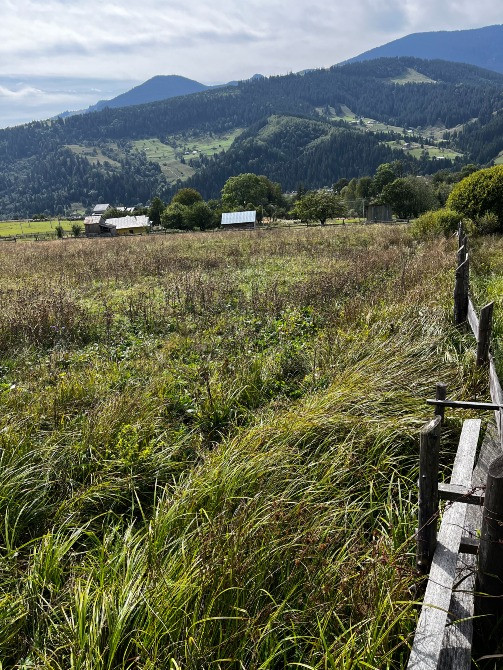 Продаж земельної ділянки 80 соток у Карпатах – с. Ільці, Верховинський Ивано-Франковск - изображение 7