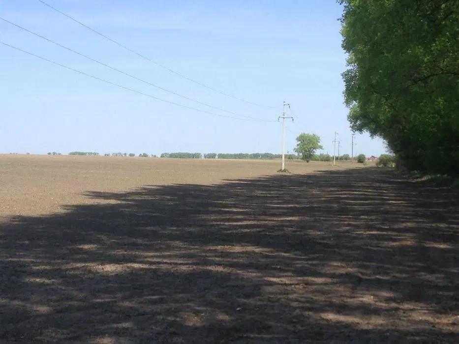 Продаж земельної ділянки 2, 4601 га, с. Ситняки, Макарівський р-н Макаров - изображение 3