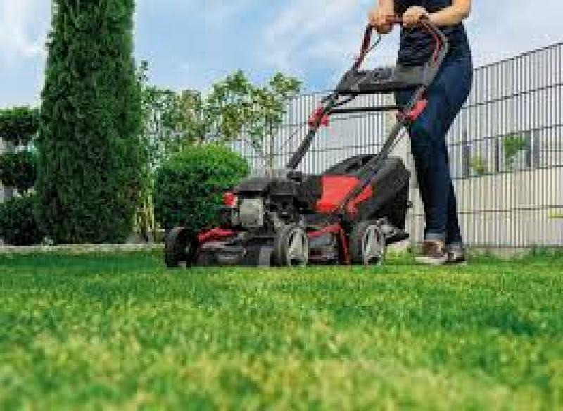 Покіс трави: Київ, Київська область та Біла Церква. Швидко, якісно, до Київ - зображення 6