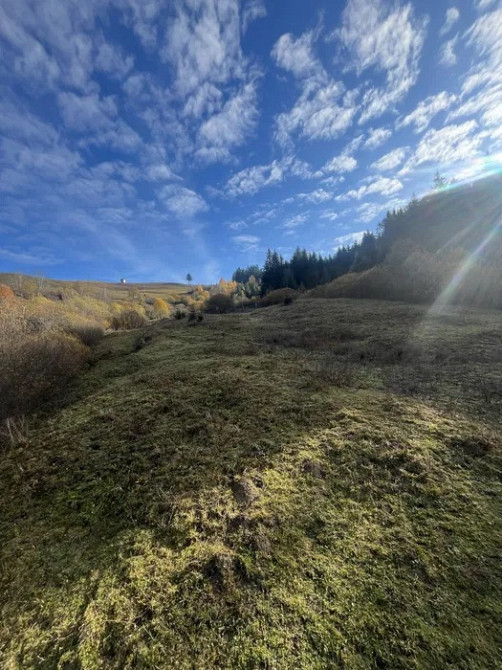 Земля в Карпатах Івано-Франківськ - зображення 6