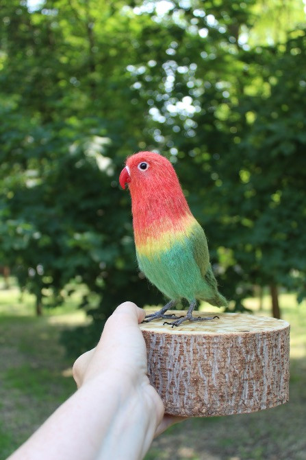 Неразлучник попугай валяна іграшка з шерсті папуга інтерєрєрна игрушка Одеса - зображення 4