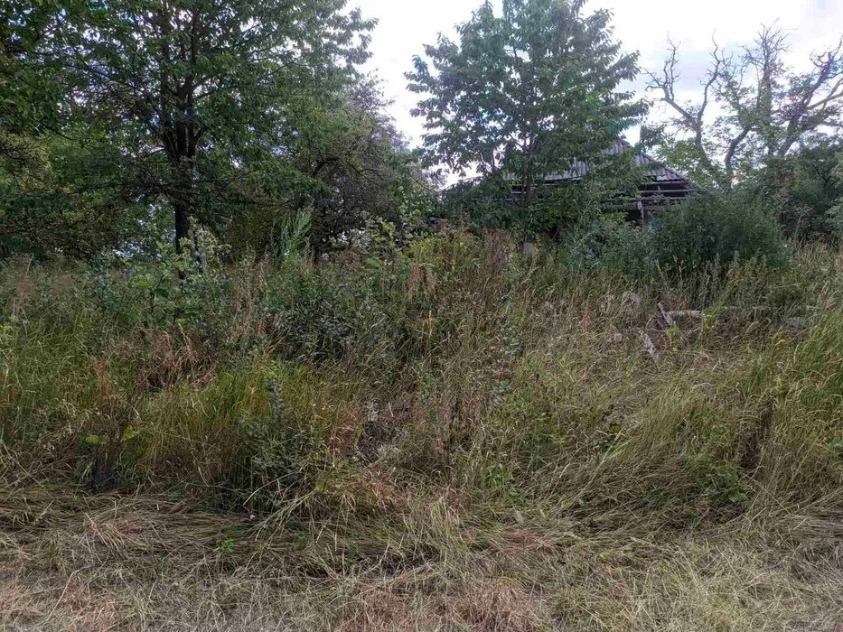 Продається приватизована земельна ділянка 0, 25 га в с. Куликівка Черновцы - изображение 5