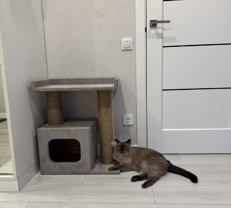 Когтеточка домик з дерева з лежанкой для кота, якісна та міцна кігтето Коростень - зображення 3