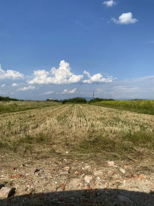 Продам земельну ділянку біля Мукачева Мукачево - зображення 1