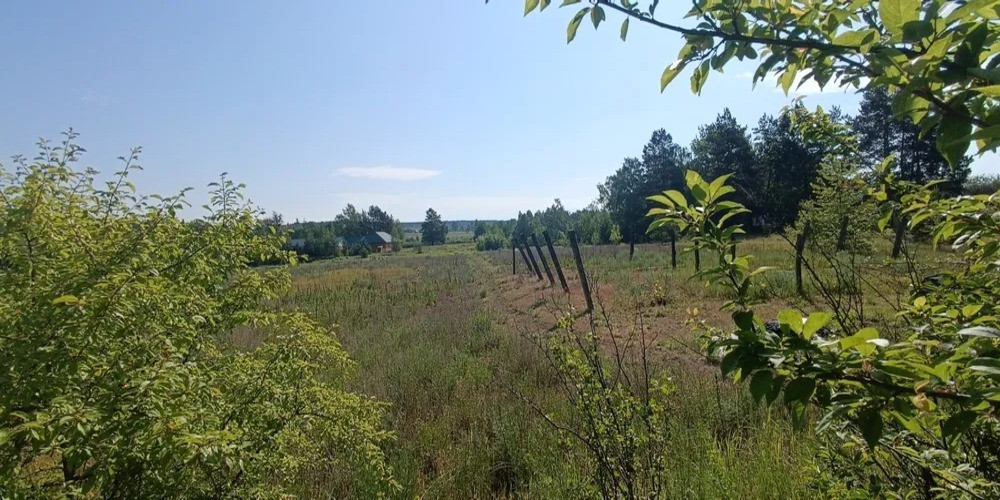 Продається будинок із великою земельною ділянкою в мальовничому місці Макаров - изображение 8