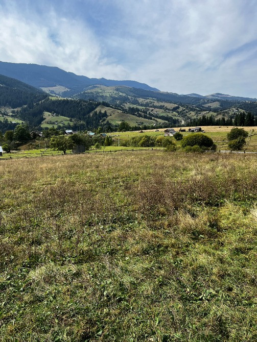 Продаж земельної ділянки 80 соток у Карпатах – с. Ільці, Верховинський Ивано-Франковск - изображение 10