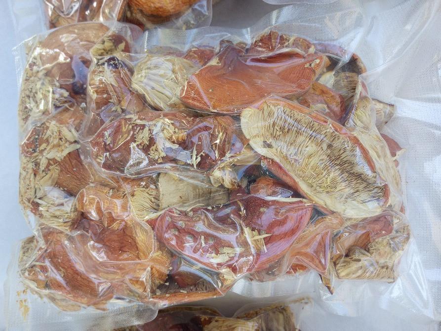 Мухомор червоний 2024 Черкаси - зображення 3