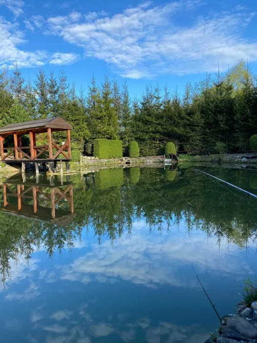 Продається розкішний маєток у живописному селі Марківка Коломыя - изображение 4