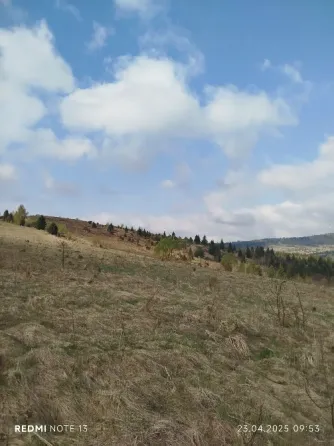 Земельна ділянка Львов
