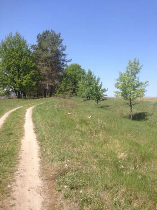 Продаж земельної ділянки 2, 4601 га, с. Ситняки, Макарівський р-н Макаров - изображение 9