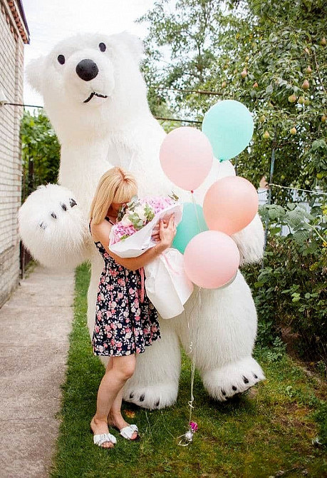 Белый медведь аниматор Кропивницкий, Александрия, Знаменка, Новомиргород Кропивницкий - изображение 4