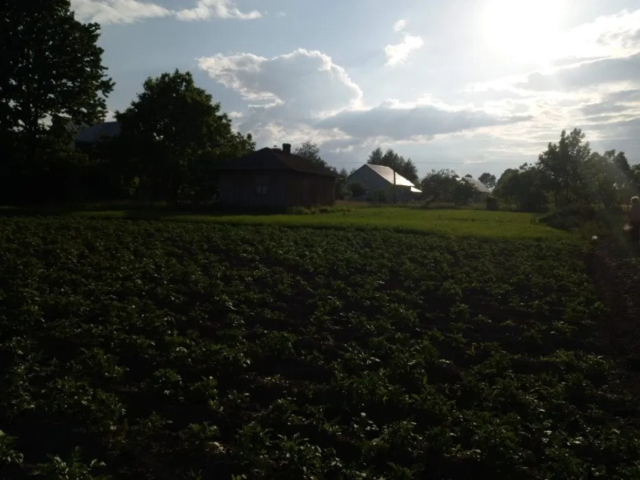 Продається земельна ділянка в с. Рудники, Львівська область Николаев - изображение 2