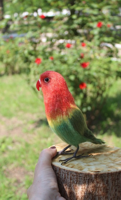 Неразлучник попугай валяна іграшка з шерсті папуга інтерєрєрна игрушка Одеса - зображення 6