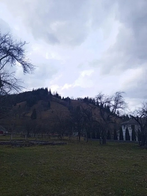 Продам участок на Прикарпатті Черновцы - изображение 7