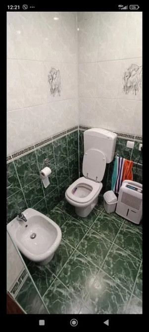 Продається затишний будинок у с. Горішня Вигнанка, Чортківський район Чортків - зображення 6