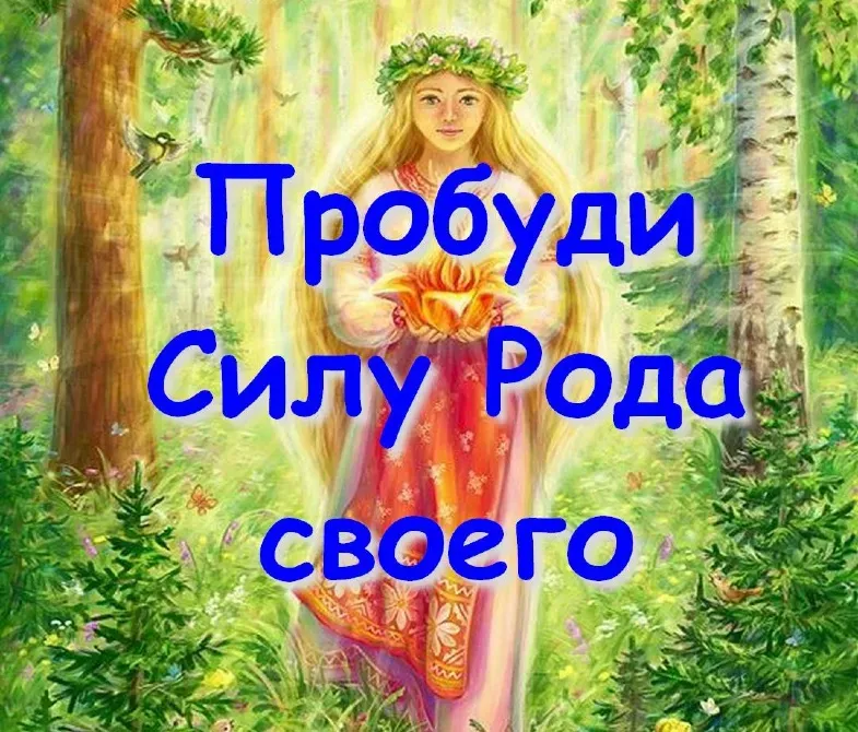 Пробуждаю Силу Рода и связь с Родом, очищение Рода. Дистанционно Київ - зображення 1