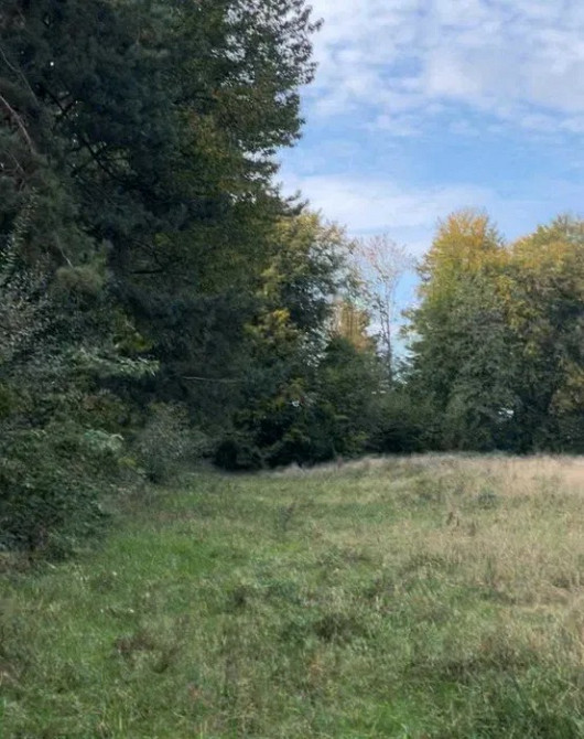 Земельна ділянка 1, 2 Га поруч з Брюховичами Львов - изображение 11