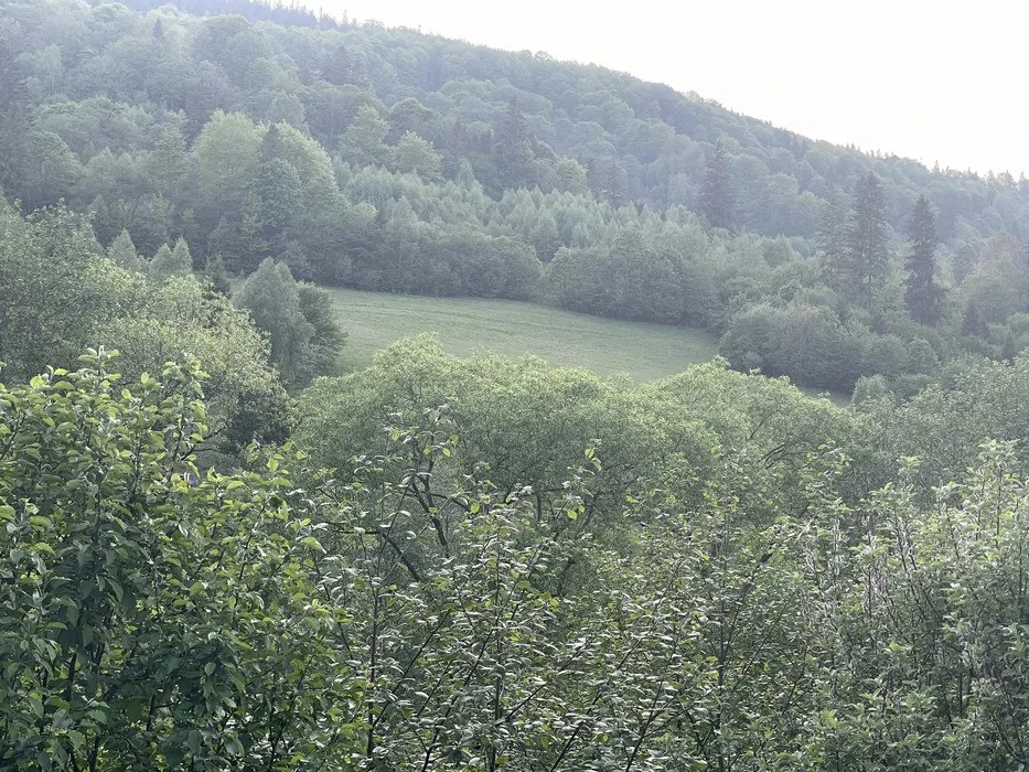 Продаж земельної ділянки під будівництво у Славському Стрый - изображение 3