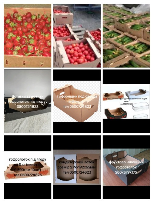 Купить гофролоток под клубнику, малину Запоріжжя - зображення 1