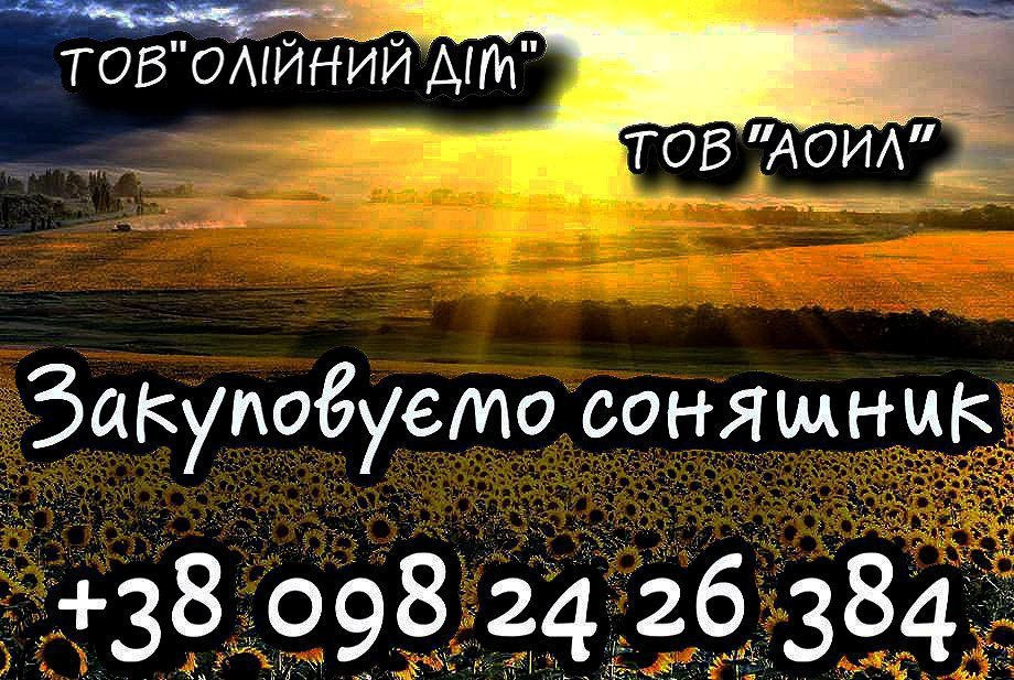 Закуповуємо соняшник Кропивницький - зображення 1