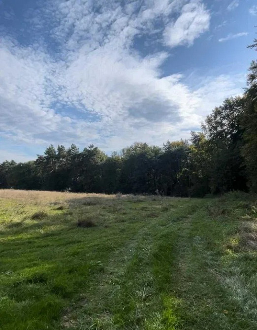 Земельна ділянка 1, 2 Га поруч з Брюховичами Львов - изображение 8