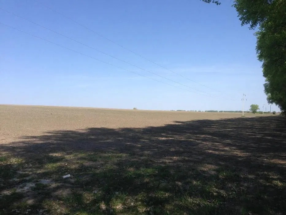 Продаж земельної ділянки 2, 4601 га, с. Ситняки, Макарівський р-н Макаров - изображение 6