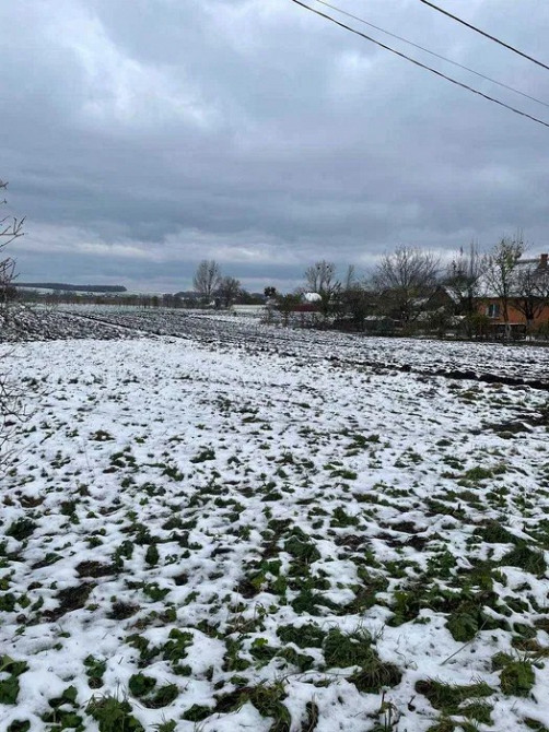 Продам земельну ділянку с. Оздів Луцьк - зображення 6