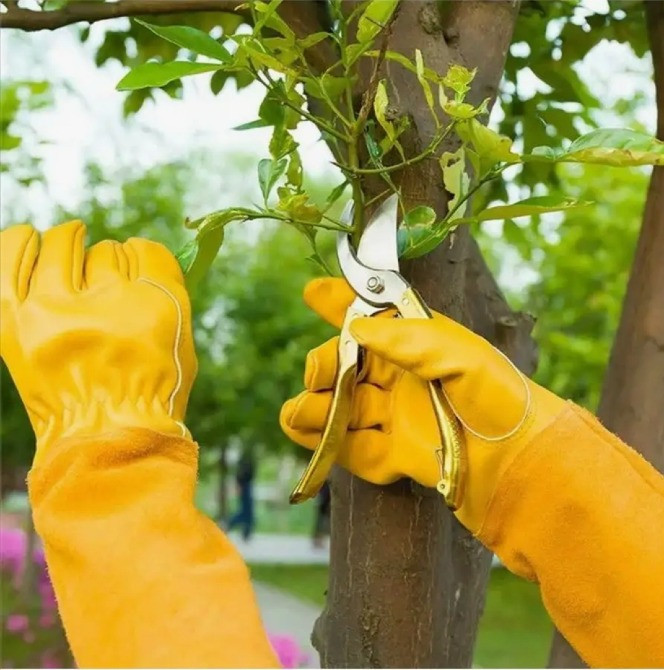 Рукавички для обрізання троянд та колючих рослин Полтава - изображение 1
