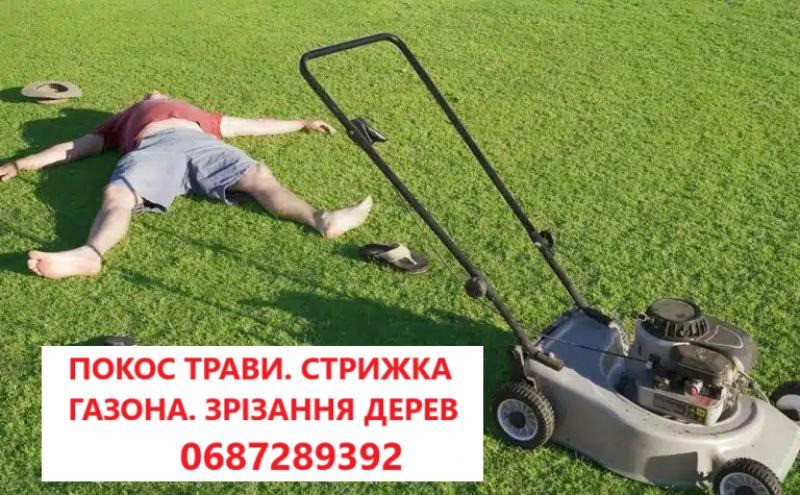 Покіс трави: Київ, Київська область та Біла Церква. Швидко, якісно, до Київ - зображення 1