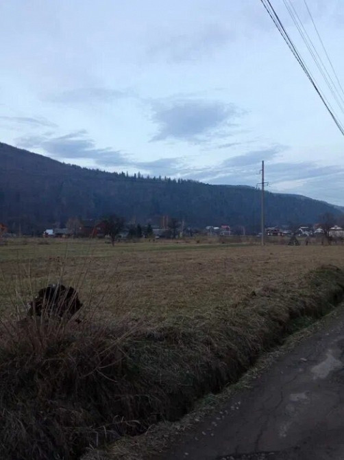 Земельна ділянка Яремче Яремче - зображення 7