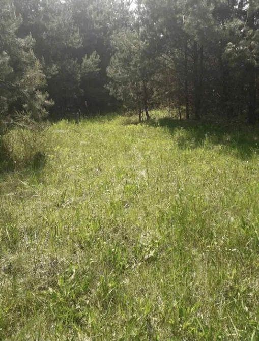 Земельна ділянка біля лісу, с.Козулька, Львівський р-н Жолква - изображение 3