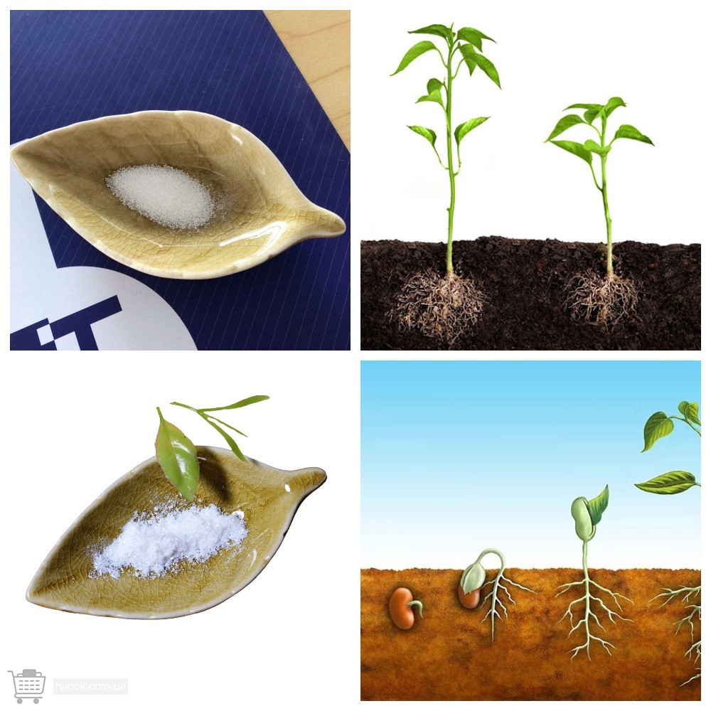 Регуляторы роста растений Одесса - изображение 4