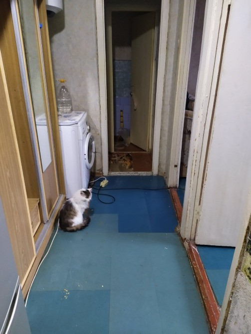 Аренда Дніпро - зображення 6