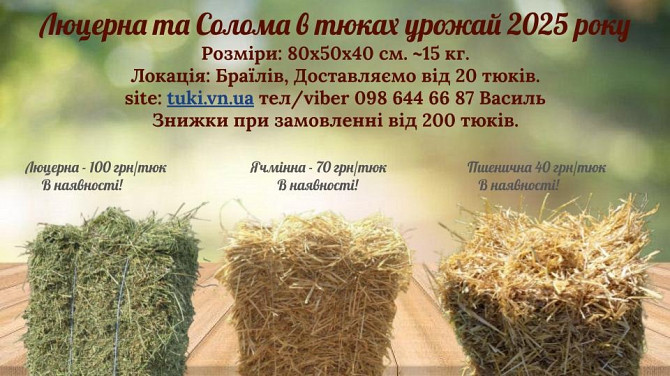 Солома та сіно в тюках урожай 2025 року, Вінницька обл Жмеринка - зображення 1