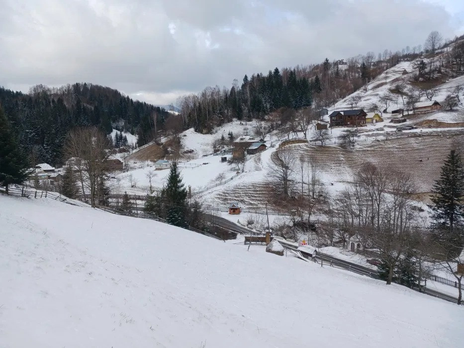 Продаж земельної ділянки в Карпатах – с. Буковець, Верховинський район Ивано-Франковск - изображение 2